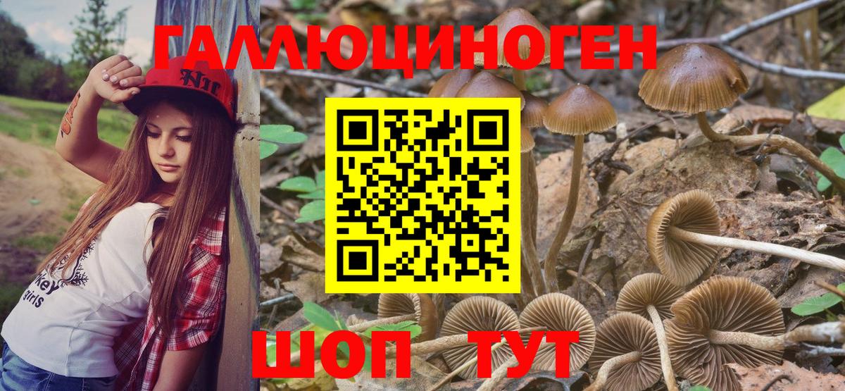Псилоцибиновые грибы мухоморы  Псилоцибиновые грибы мицелий  Тара  Вход с VPN 